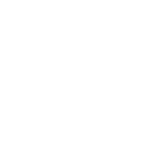 Wordpress-Development